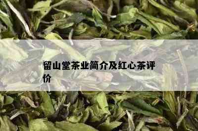 留山堂茶业简介及红心茶评价