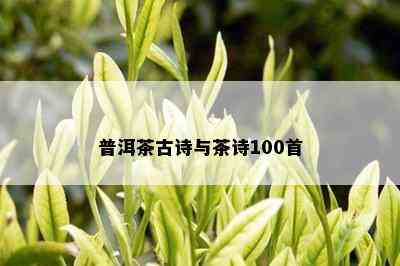 普洱茶古诗与茶诗100首