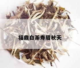 福鼎白茶寿眉秋天