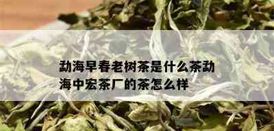 勐海早春老树茶是什么茶勐海中宏茶厂的茶怎么样