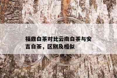 福鼎白茶对比云南白茶与安吉白茶，区别及相似