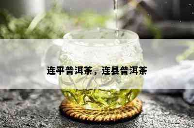 连平普洱茶，连县普洱茶