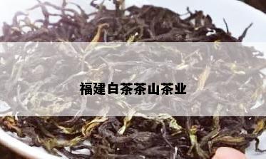 福建白茶茶山茶业