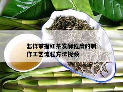 怎样掌握红茶发酵程度的制作工艺流程方法视频