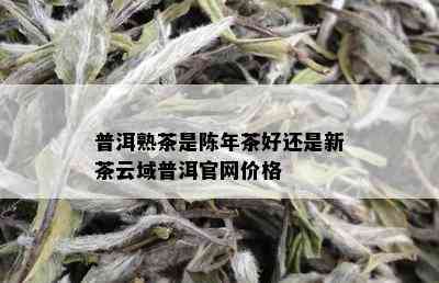 普洱熟茶是陈年茶好还是新茶云域普洱官网价格