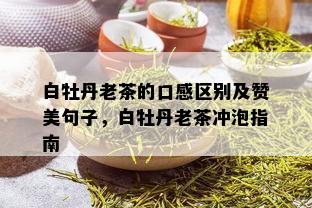 白牡丹老茶的口感区别及赞美句子，白牡丹老茶冲泡指南