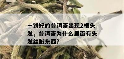 一饼好的普洱茶出现2根头发，普洱茶为什么里面有头发丝脏东西？