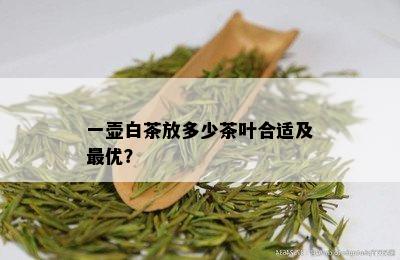 一壶白茶放多少茶叶合适及更优？