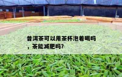 普洱茶可以用茶杯泡着喝吗，茶能减肥吗？