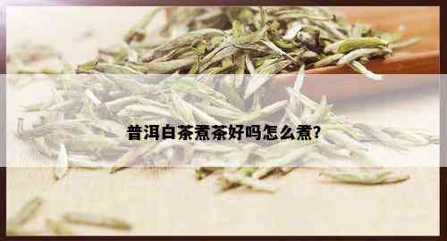 普洱白茶煮茶好吗怎么煮？