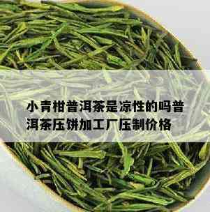 小青柑普洱茶是凉性的吗普洱茶压饼加工厂压制价格