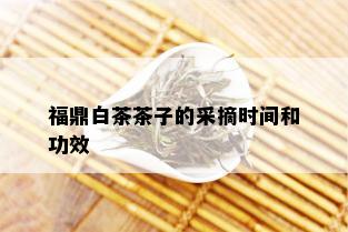 福鼎白茶茶子的采摘时间和功效