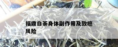 福鼎白茶身体副作用及致癌风险