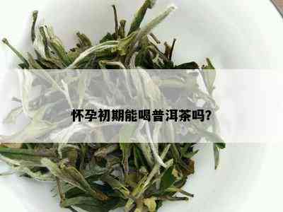 怀孕初期能喝普洱茶吗？