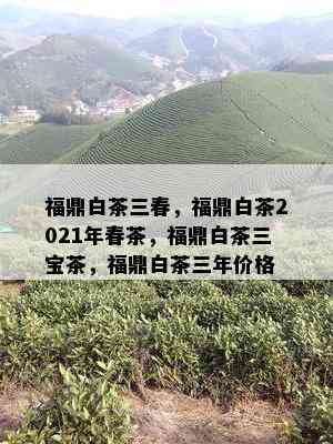 福鼎白茶三春，福鼎白茶2021年春茶，福鼎白茶三宝茶，福鼎白茶三年价格