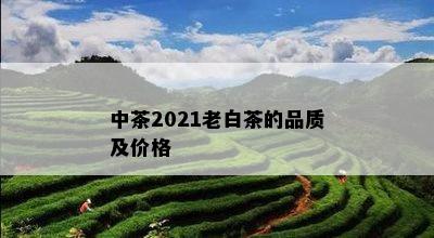 中茶2021老白茶的品质及价格