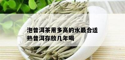 泡普洱茶用多高的水最合适熟普洱存放几年喝