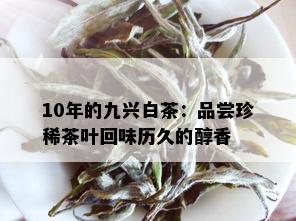 10年的九兴白茶：品尝珍稀茶叶回味历久的醇香