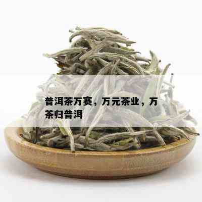 普洱茶万赛，万元茶业，万茶归普洱