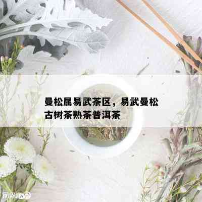 曼松属易武茶区，易武曼松古树茶熟茶普洱茶