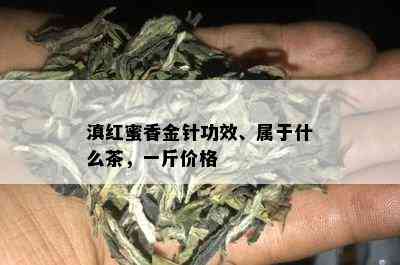 滇红蜜香金针功效、属于什么茶，一斤价格