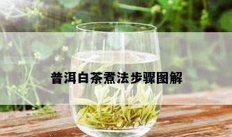 普洱白茶煮法步骤图解