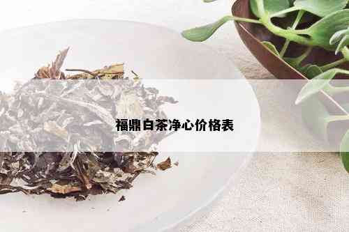 福鼎白茶净心价格表