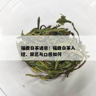 福鼎白茶进京：福鼎白茶入经、禁忌与口感如何