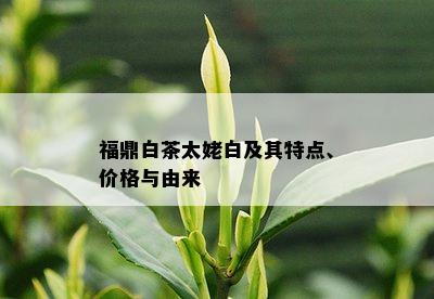 福鼎白茶太姥白及其特点、价格与由来