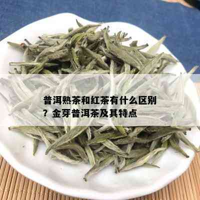 普洱熟茶和红茶有什么区别？金芽普洱茶及其特点