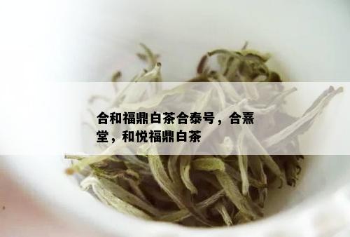 合和福鼎白茶合泰号，合熹堂，和悦福鼎白茶