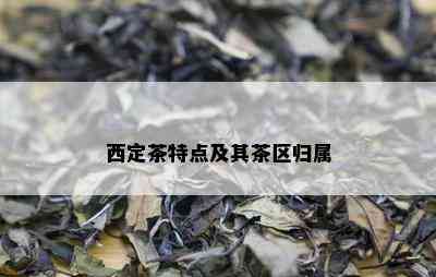 西定茶特点及其茶区归属