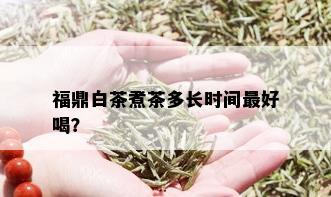 福鼎白茶煮茶多长时间更好喝？