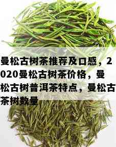 曼松古树茶推荐及口感，2020曼松古树茶价格，曼松古树普洱茶特点，曼松古茶树数量