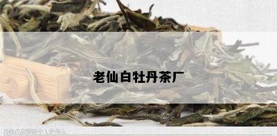 老仙白牡丹茶厂