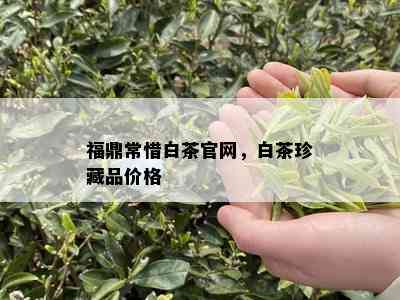 福鼎常惜白茶官网，白茶珍藏品价格