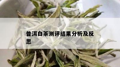 普洱白茶测评结果分析及反思