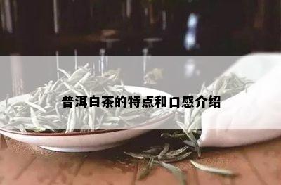 普洱白茶的特点和口感介绍