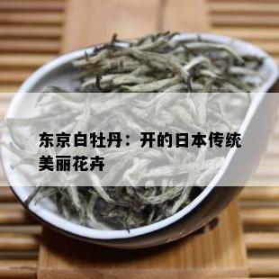 东京白牡丹：开的日本传统美丽花卉