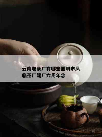 云南老茶厂有哪些昆明市凤临茶厂建厂六周年念