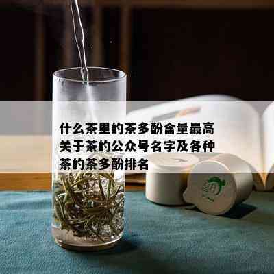 什么茶里的茶多酚含量更高关于茶的公众号名字及各种茶的茶多酚排名