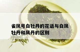 雀凤号白牡丹的花语与白凤牡丹和凤丹的区别