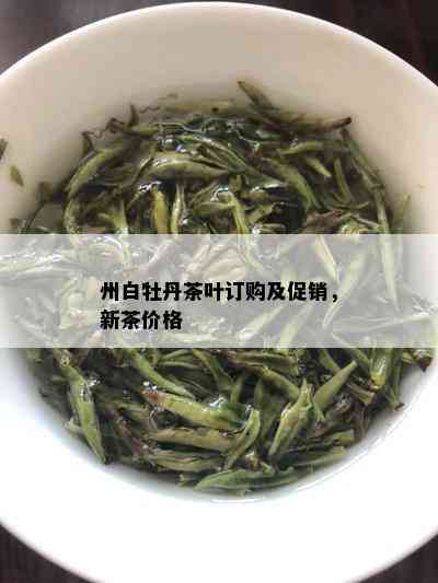 州白牡丹茶叶订购及促销，新茶价格