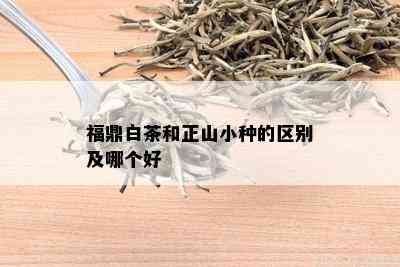 福鼎白茶和正山小种的区别及哪个好