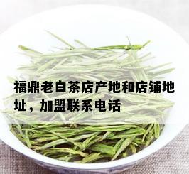 福鼎老白茶店产地和店铺地址，加盟联系电话