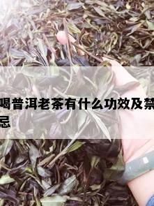 喝普洱老茶有什么功效及禁忌