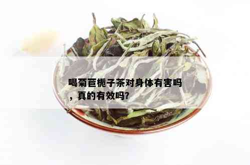 喝菊苣栀子茶对身体有害吗，真的有效吗？