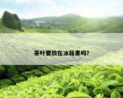 茶叶要放在冰箱里吗？