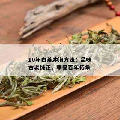 10年白茶冲泡方法：品味古老纯正，享受百年传承