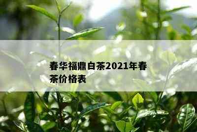 春华福鼎白茶2021年春茶价格表